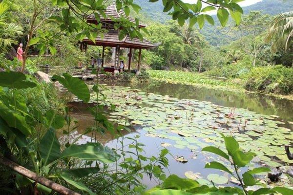 亚龙湾最好的度假村（亚龙湾鸟巢的浪漫入住体验）(8)
