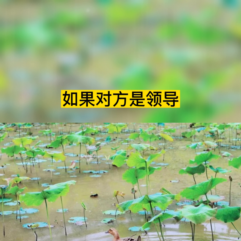 领了红包怎么幽默的说谢谢(收红包的六个幽默回话技巧)