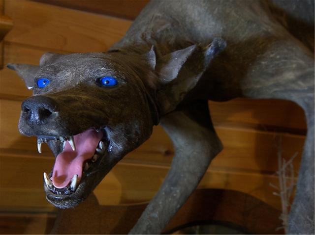 吸血怪兽太吓人（美洲最神秘的吸血怪兽）(12)