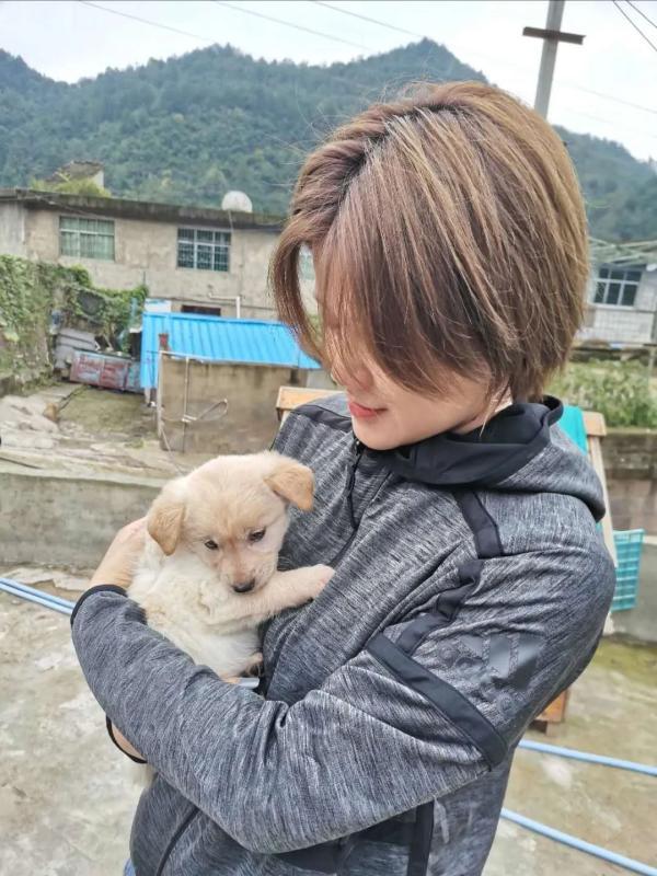 北京流浪宠物猫救助站（给了流浪猫狗一个）(4)