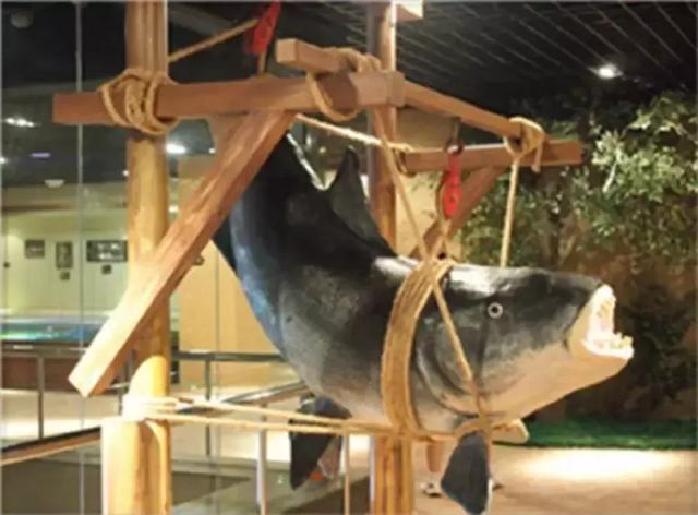 那日松旅游（松嫩平原的南端）(9)