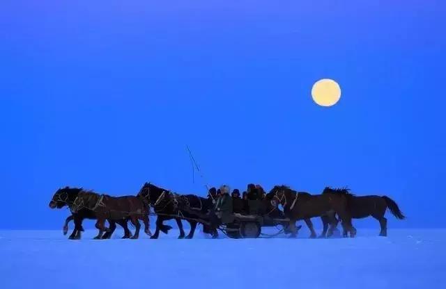 那日松旅游（松嫩平原的南端）(6)