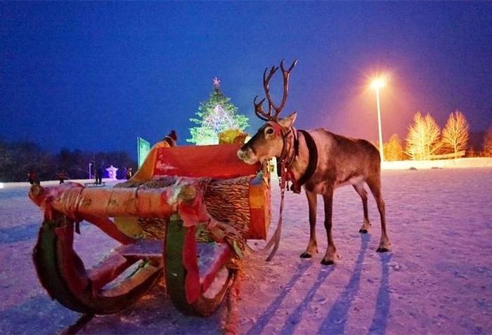 亚洲唯一一个圣诞村在我国,圣诞老人持证上岗,美如童话仙境