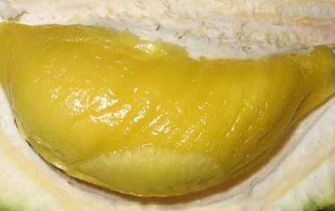 新鲜榴莲可以放冰冻,榴莲能不能放在冰箱里冷冻图2