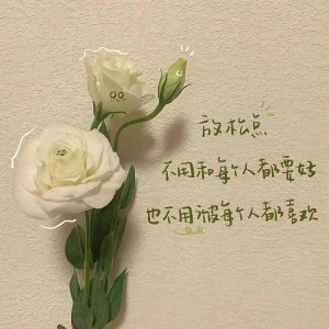 ​绿色系微信背景图～