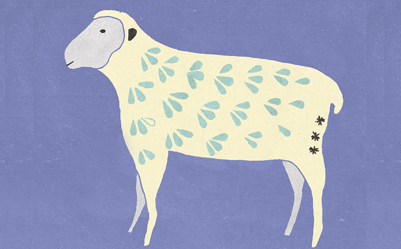 大地万物是什么生肖（大地万物打一生肖）