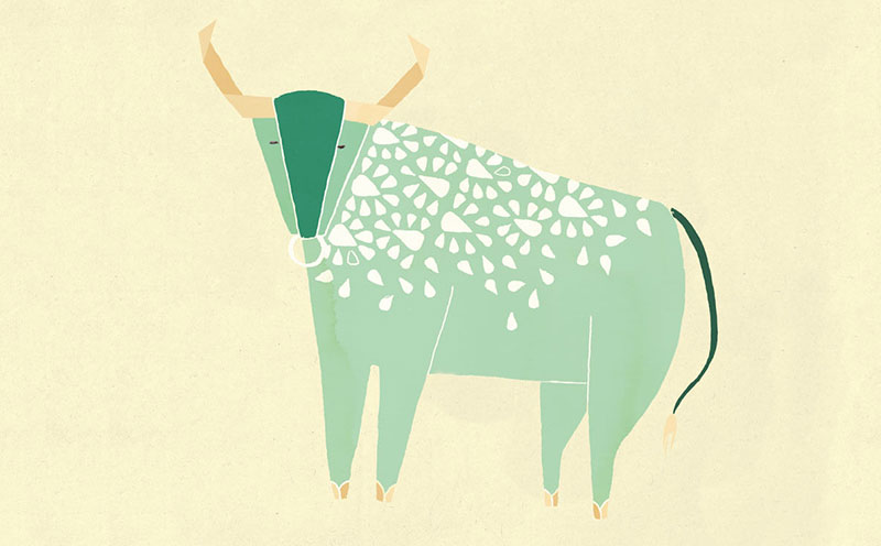 大地万物是什么生肖（大地万物打一生肖）