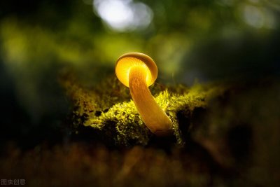 ​封闭学校是什么学校(全封闭式学校有哪些？)