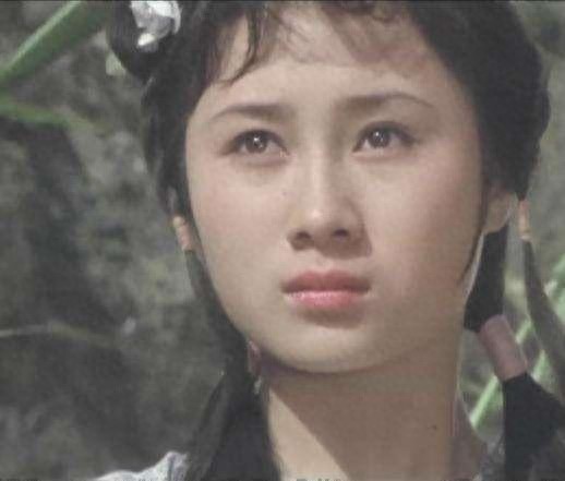 丁岚曾追求李连杰被拒绝，后来奔波忙事业，现在56岁成为商界精英