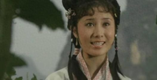 丁岚曾追求李连杰被拒绝，后来奔波忙事业，现在56岁成为商界精英