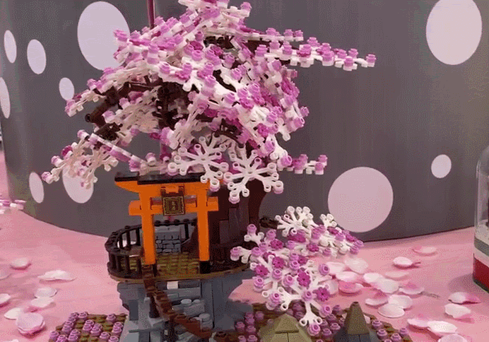 深圳玩具展览会时间表（这些新奇宝贝太好玩了）(30)