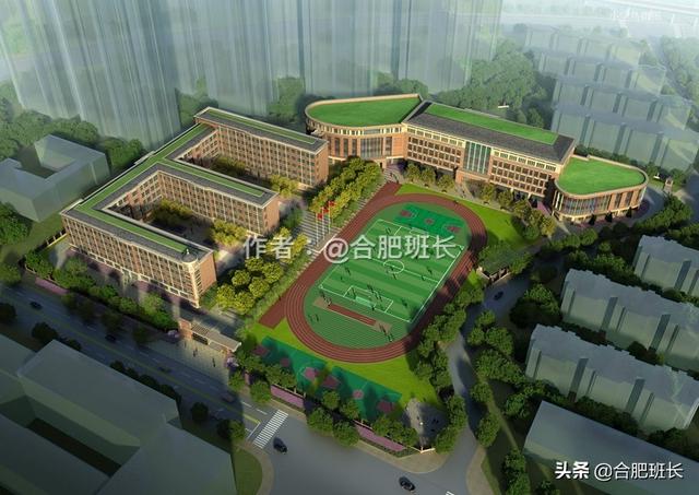 合肥青年路小学本部学区划分 打假合肥真伪学区(5)