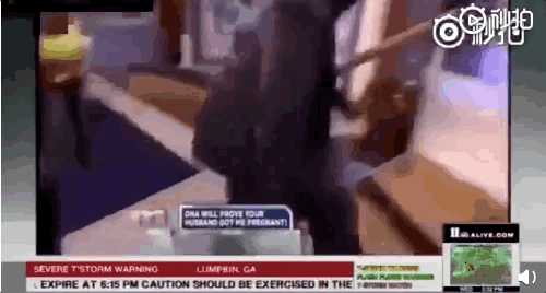 美国亲子鉴定真人秀在哪里看（亲子鉴定被美国人玩成大型八卦真人秀）(20)