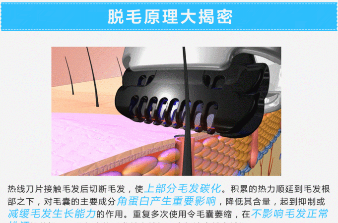 为什么毛会越刮越粗