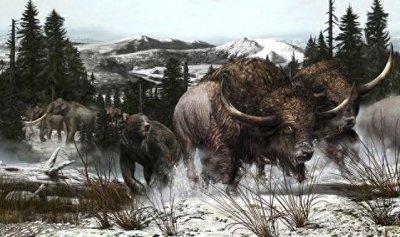 ​短面熊-巨型掠食动物