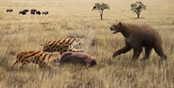 短面熊-巨型掠食动物