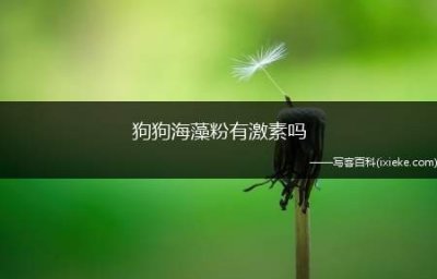 ​狗狗海藻粉有激素吗，海藻粉给狗吃多少合适