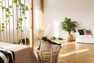 ​紫罗兰可以放室内吗