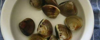 ​蛤蜊吐沙子最快最干净的方法 蛤蜊吐沙子最快的方法