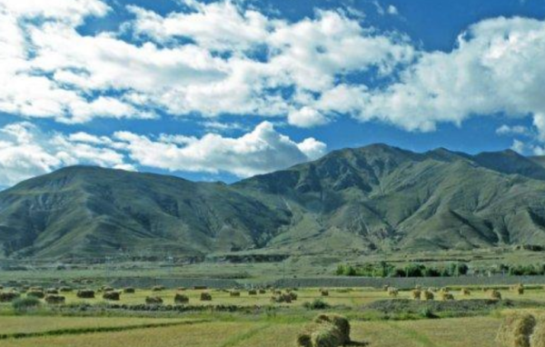 青藏高原海拔高对动植物的影响,为什么青藏高原不长树木图1