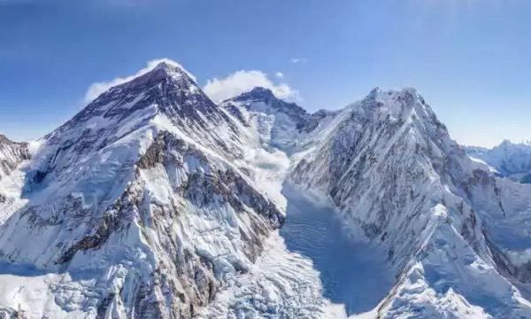 青藏高原海拔高对动植物的影响,为什么青藏高原不长树木图6