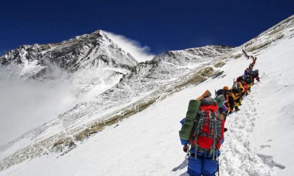 青藏高原海拔高对动植物的影响,为什么青藏高原不长树木图7