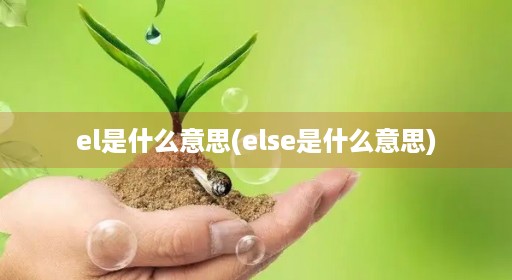 el是什么意思(else是什么意思)