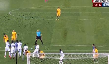 澳大利亚是属于哪一个洲（澳洲是澳大利亚吗）