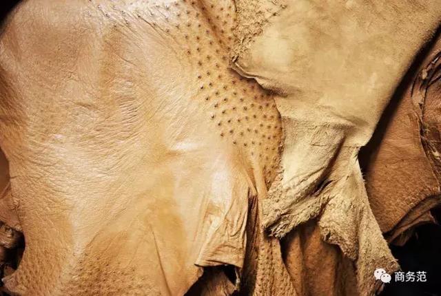 奢华低调的男士品牌（男人低调有品位）(23)