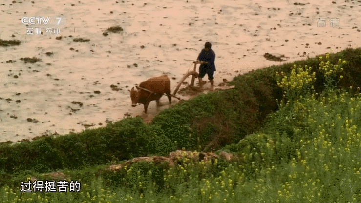 最近最有名的三位航天英雄（放牛娃飞行员航天英雄）(1)