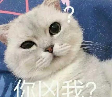 20张哄女朋友的表情包，你都收藏了吗？