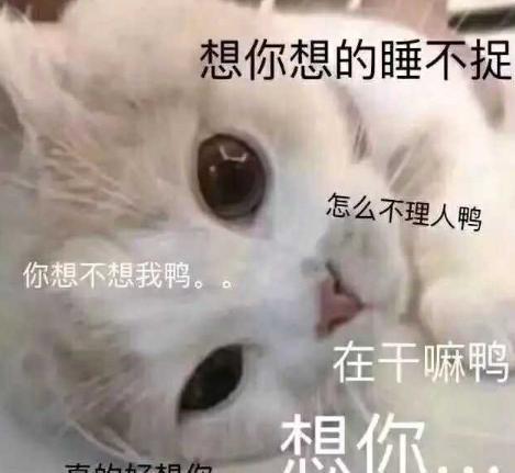 20张哄女朋友的表情包，你都收藏了吗？