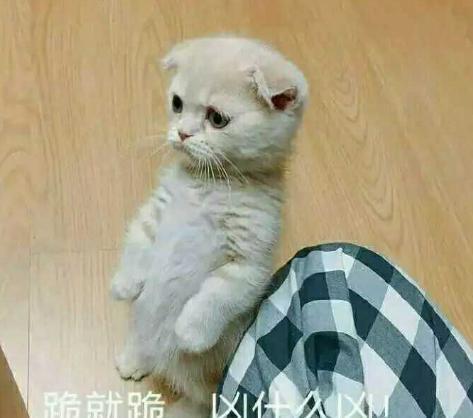 20张哄女朋友的表情包，你都收藏了吗？