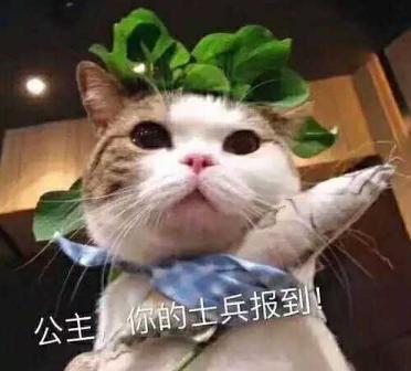 20张哄女朋友的表情包，你都收藏了吗？