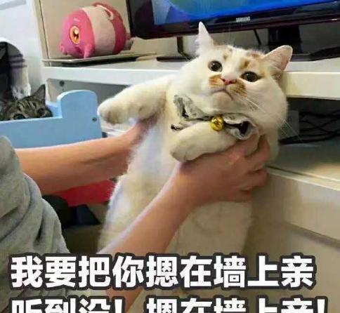 20张哄女朋友的表情包，你都收藏了吗？