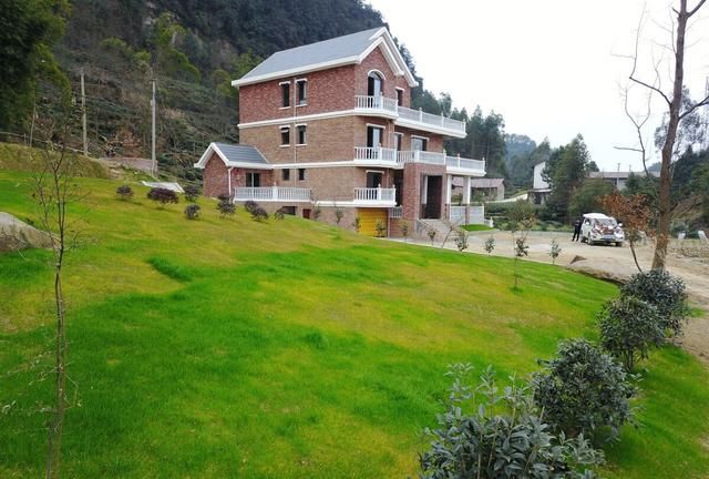 华子是什么意思，华华子什么意思？图3