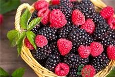 孕妇可以吃覆盆子吗?孕妇吃覆盆子会怎样?