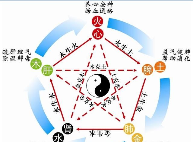 五脏六腑的意思，五脏六腑千钧重负的意思？图3