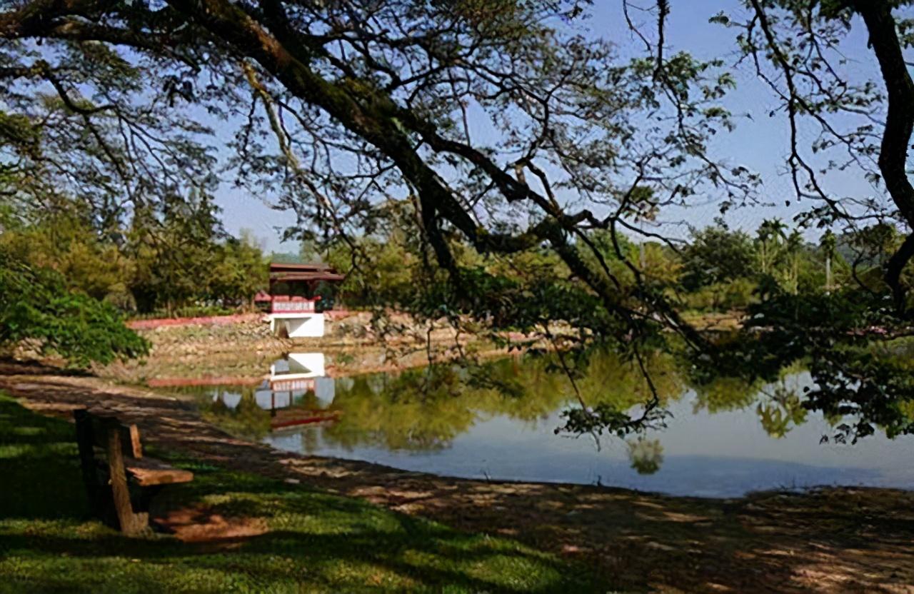 老舍为什么投湖自尽了（老舍为什么投湖）