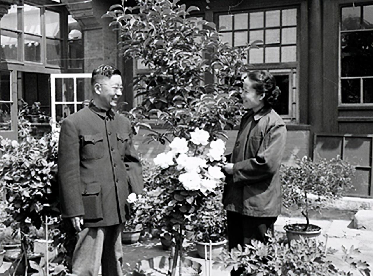 老舍为什么投湖自尽了（老舍为什么投湖）