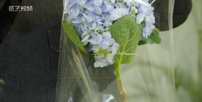 ​ins风格手提袋花怎么做