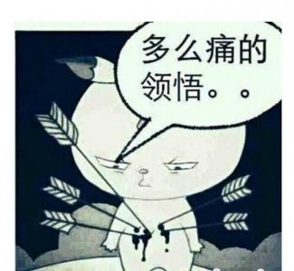​多么痛的领悟是什么歌（歌词介绍）