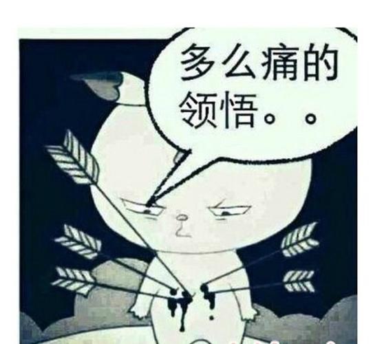 多么痛的领悟是什么歌（歌词介绍）