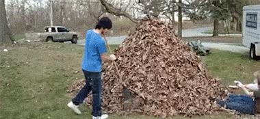 搞笑动态图搞笑gif动态图片大全内涵gif动态图集锦