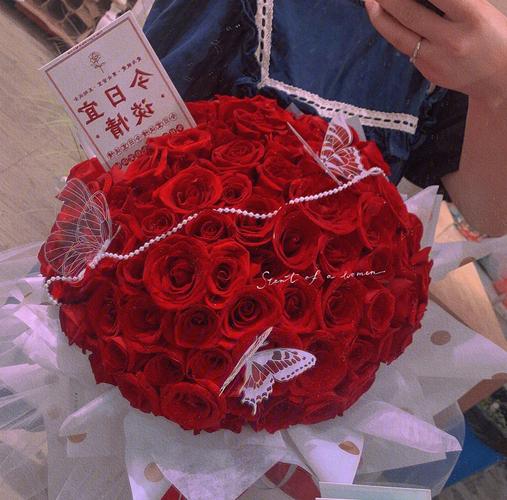 七夕情人节一朵玫瑰图片（花开浪漫情人节）