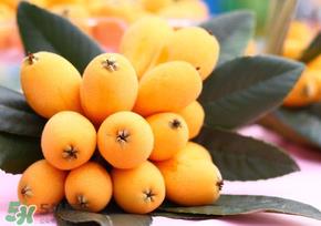 枇杷能和鸡蛋一起吃吗？枇杷可以和蛋一起吃吗？