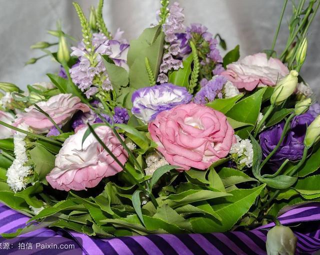 洋桔梗应该如何正确的养殖，知道这些方法，种植简单易懂