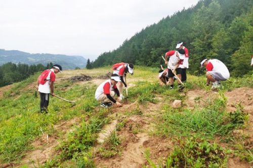 重庆工程职业学院在哪里？重庆工程职业学院升本-第1张图片-