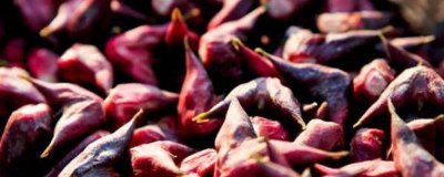 ​菱角壳属于什么垃圾食品 菱角壳属于什么垃圾分类类别