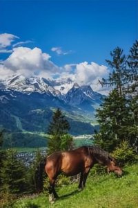 ​彪悍德意志-屹立不倒的巴伐利亚